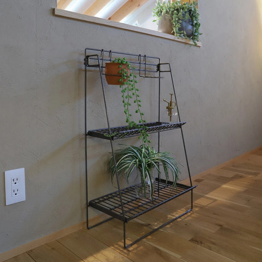 Wire Botanical Rack (WW-WBR)