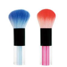 AIVIL Face Brush Pixy