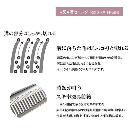 DEEDS GTZ640RV Thinning Shears – 40 Teeth V-Groove R Blade (6.0 inch / Approx. 35% Thinning Ratio)