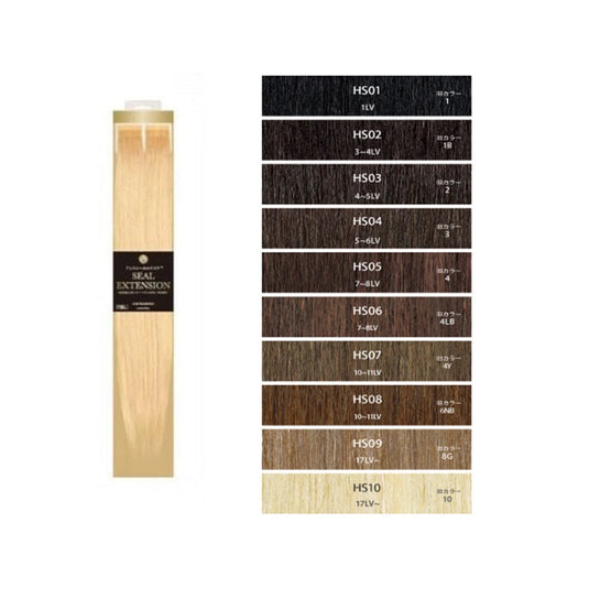 Tape-in Hair Extensions (20 pcs / 60cm)