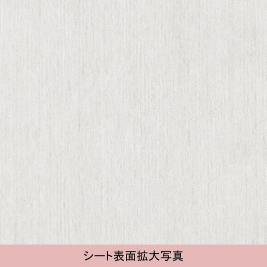 BG Original Face sheet SP 100 pieces