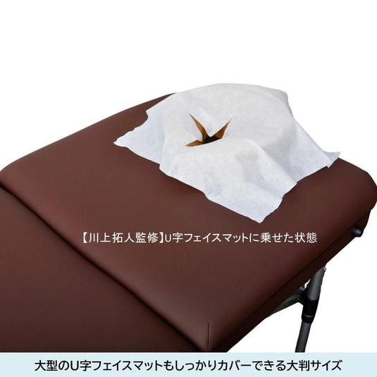 Soft-Touch Thick Pillow Sheets (Cross-Cut), Pack of 100