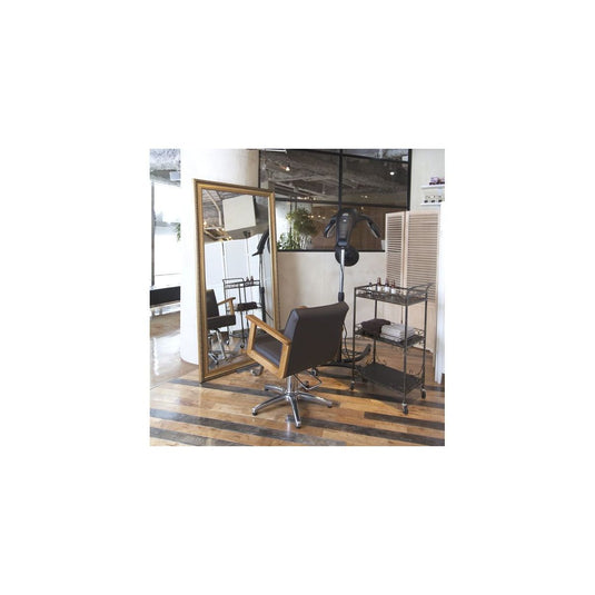 Styling Wall Mirror (Full-Body Type) (2 color choice)