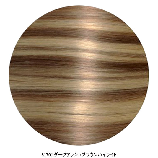 S1701 Dark Ash Brown Highlight