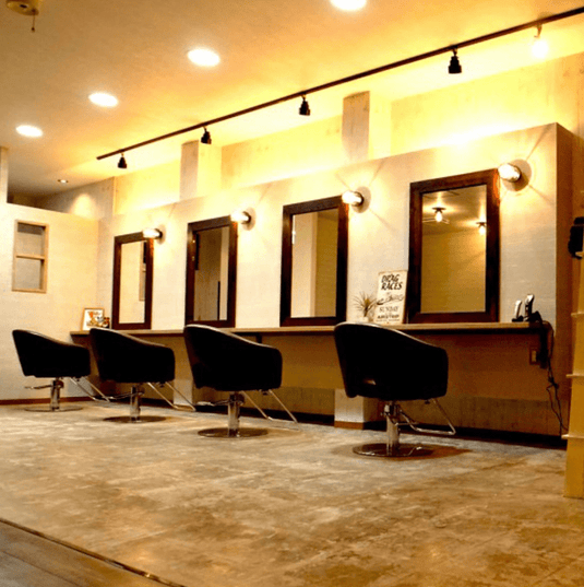 Styling Chair HD-6273 (available in 3 seat colors and 8 leg types)