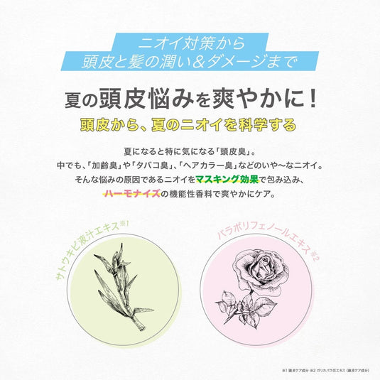 Mint Shampoo Frozen Refresh (Available in 3 Sizes)