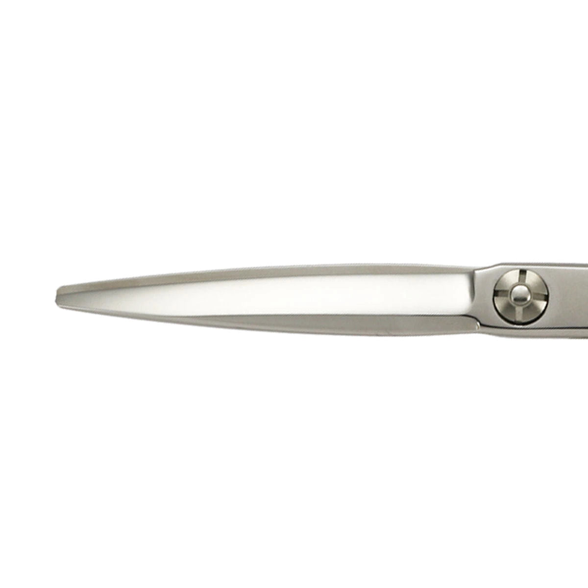 Scissors Japan Grow Cutting Scissors – Available in 2 Sizes & 5 Colors