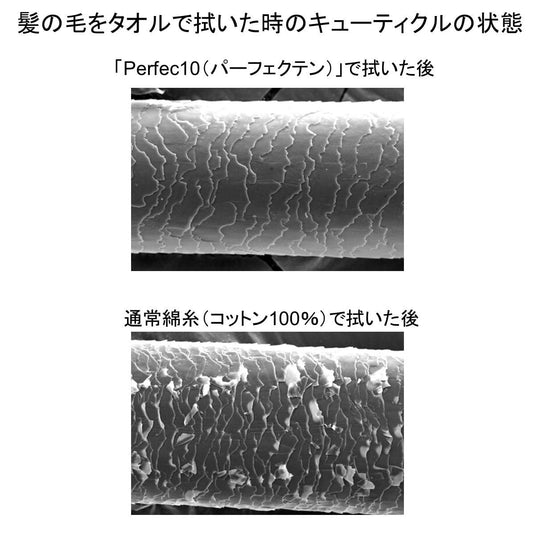 Air Kaoru “Perfec10” for Hair (34×120cm) – Available in 2 Colors