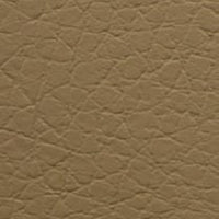 Camel D2245
