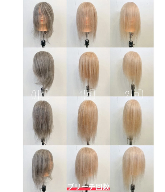 Mannequin Practice Head Gray 60 (100% Human Hair)