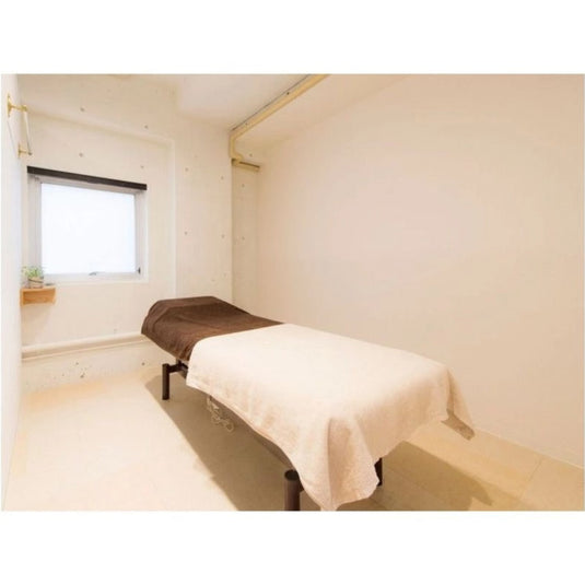 Manual Height-Adjustable Massage Bed DX (Includes Face Mat & Armrests / Fully Assembled) - Available in 2 Colors