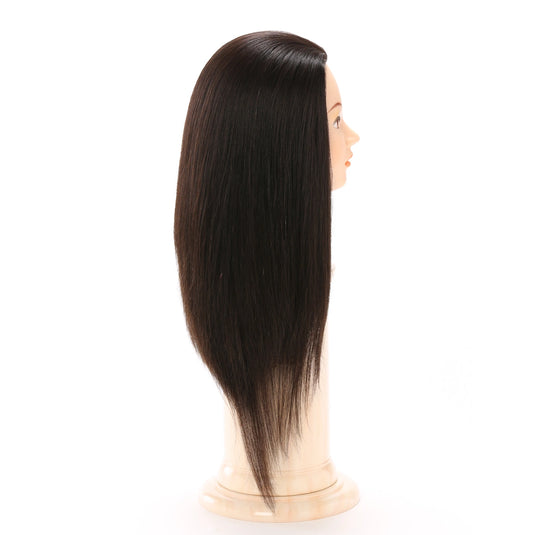 Regina 088SDL [Updo Training Model / 100% Human Hair]