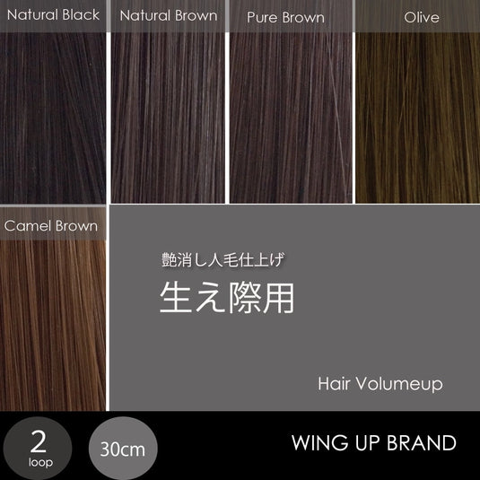WING UP Hair Volume-Up Extension for Hairline – 2-Strand × 500 Bundles (1,000 Strands)