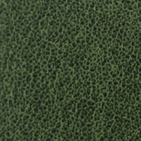 Olive B378
