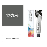Asian Color Fes 12 Gray